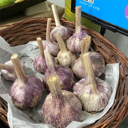 Chinese Garlic