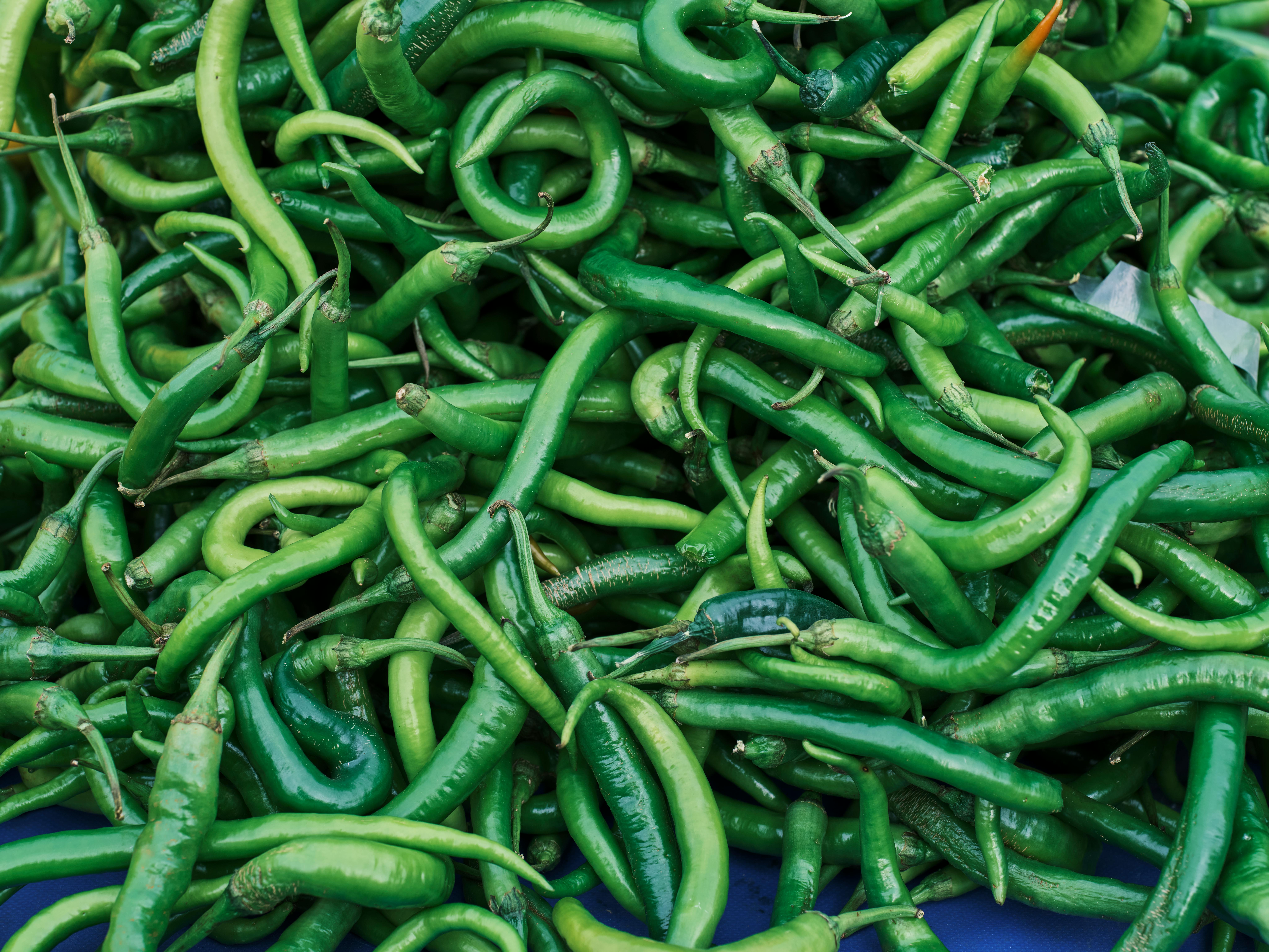 Fresh Green Chilli