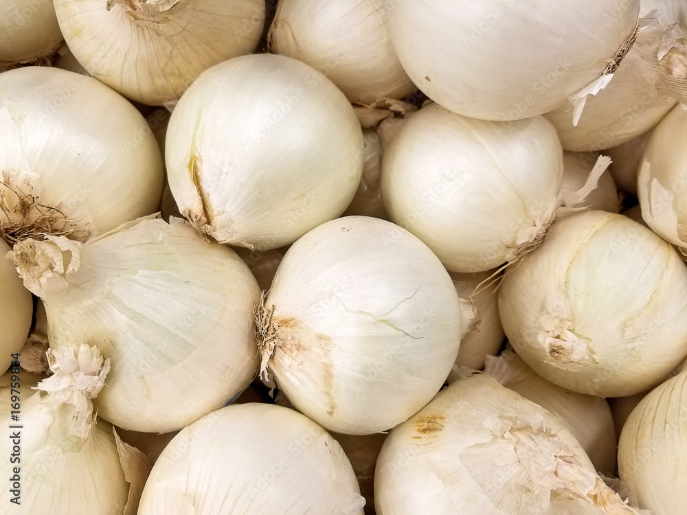 White Onion